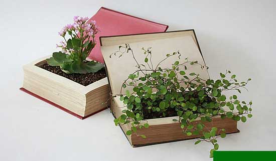 Planter, Ideas,