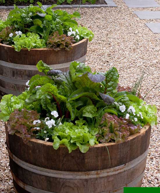 Planter, Ideas,