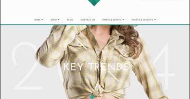 eCommerce WordPress Themes,