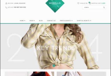 eCommerce WordPress Themes,