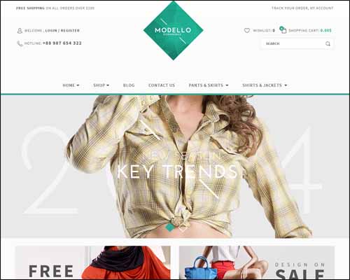 eCommerce WordPress Themes,