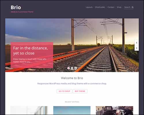 brio-media-ecommerce-wordpress-themes-kadvacorp