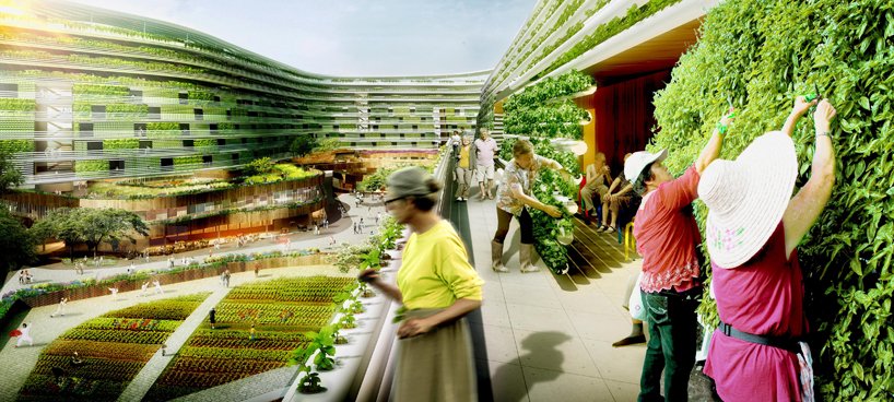 residential living with urban farming,