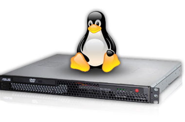 Monitor Performance Linux VPS,