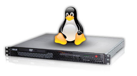 Monitor Performance Linux VPS,