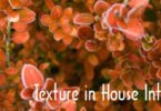 Texture, House Interior, Design element,