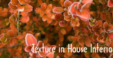 Texture, House Interior, Design element,