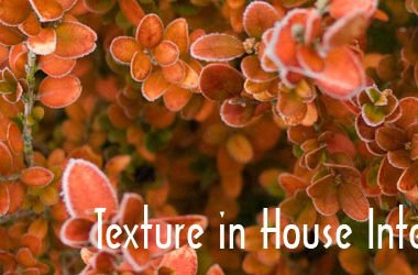 Texture, House Interior, Design element,