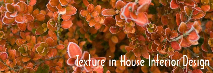 Texture, House Interior, Design element,