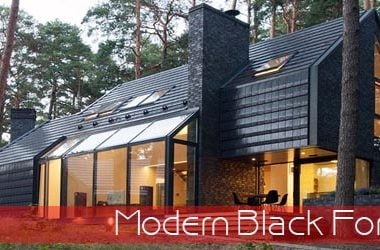 black forest house, forest house design, modern forest house, forest house design reviews, forest house bed and breakfast, forest house resort, forest house,