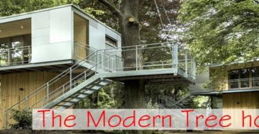 tree house ideas, tree houses to live in, tree house design, modern tree houses, coolest treehouse in the world, cool tree houses, modern tree homes,