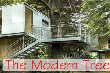 tree house ideas, tree houses to live in, tree house design, modern tree houses, coolest treehouse in the world, cool tree houses, modern tree homes,