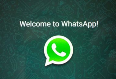 Whatsapp Apk,