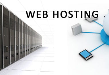 shared and dedicated web hosting,