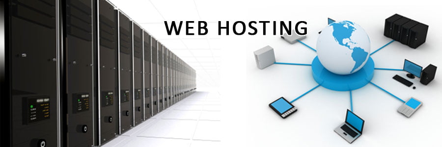 shared and dedicated web hosting,
