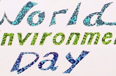 world environment day,