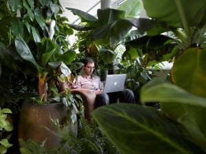 google office interior,