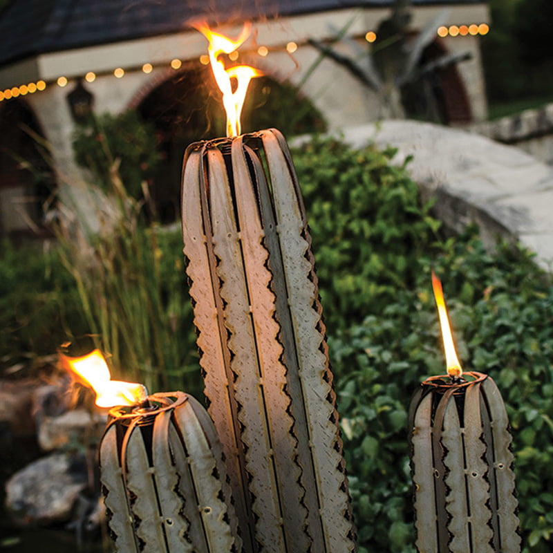 Saguaro Cactus with Three Torches 2