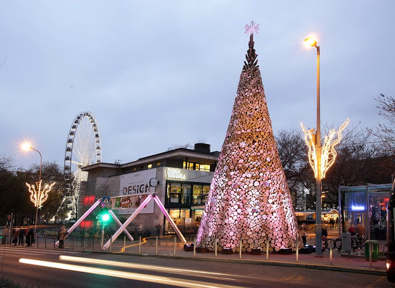 christmas-trees_Photography by Balázs Turós
