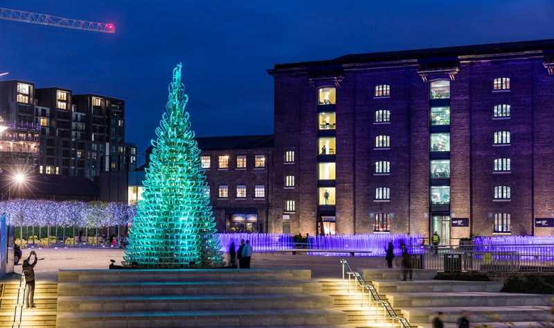 christmas-trees_Photography by John Sturrock