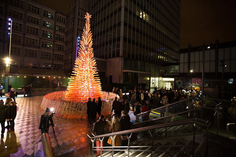 christmas-trees_Photography by Rob Evens