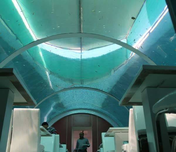 Real Poseidon An Underwater Restaurant In Ahmedabad is First in India (2)