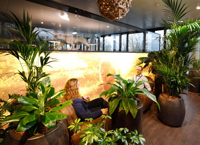 green lounge sagari of team bank’s new german HQ