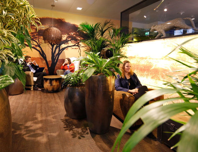 safari lounge interior