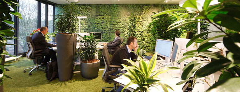 28 Popular Green Office Interior Design  rbservis.com