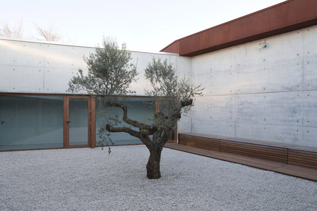 home for the elderly courtyard with exposed concrete and wood finish