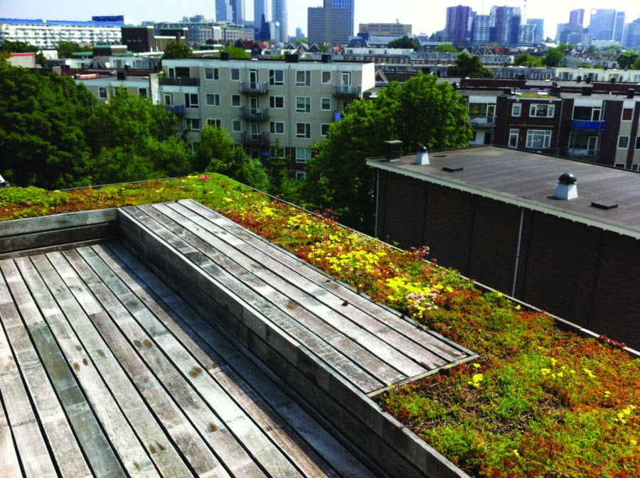 roof top garden with penthouse in germany