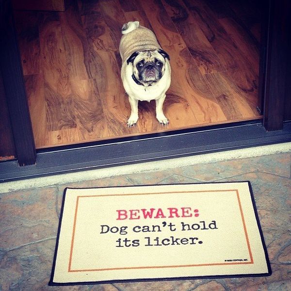 beware-dog-cant-hold-its-licker-doormat-tag-ideas