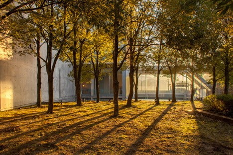 minimal luxury hotel by tadao ando