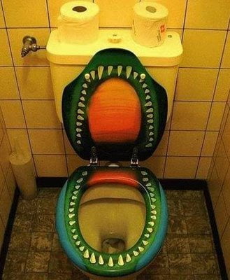 Crazy Toilet Seat Idea with Lebanese water closet