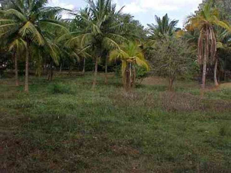 Mindfulness Meditation Yoga Retreat Center Landscape Design Example (22)