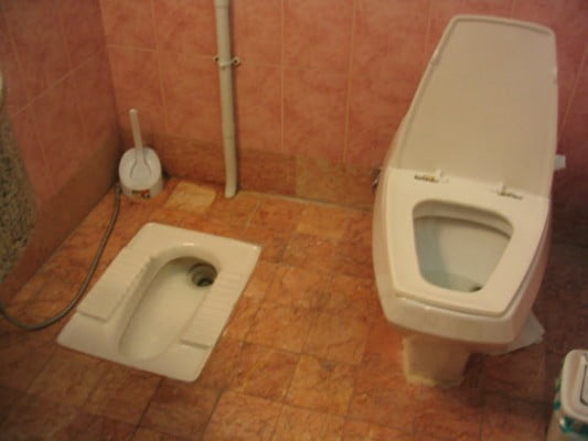Whats Your Position with Squat vs Sitting Toilet WC Seat