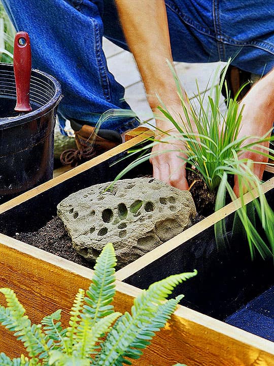 Fourth step in make Small Water Garden for Balcony or Patio process