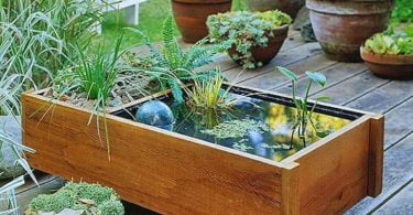water garden,