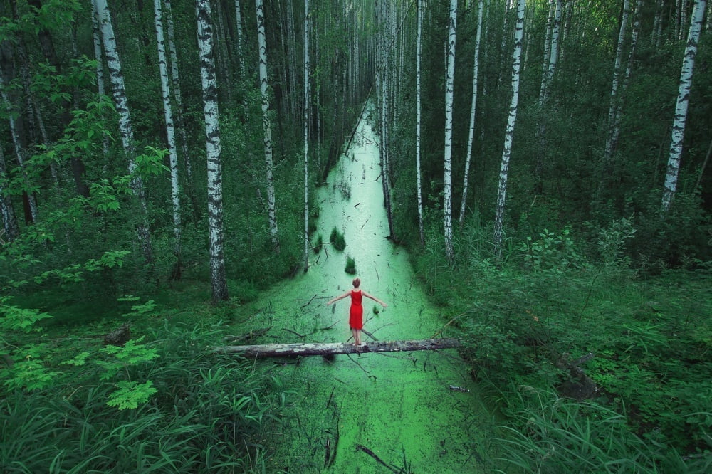 forests-without-end-russia