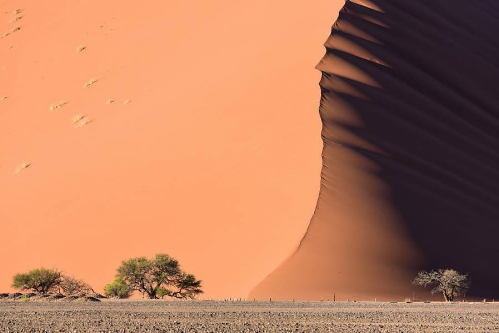 the-sea-like-dunes-of-the-namib-desert