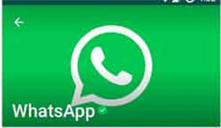 verify WhatsApp Account, how to verify whatsapp number, whatsapp business account verification,