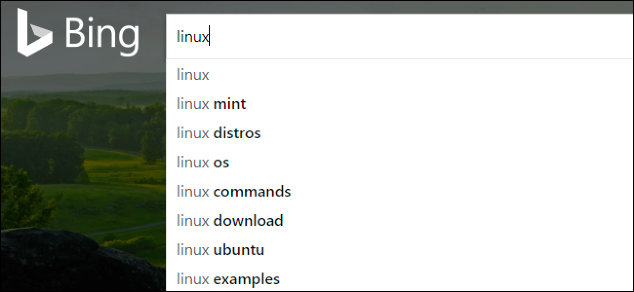 How To Remove Bing Search History Clear The Search Box On Bing Completely Kadva Corp How To Remove Bing Search History Clear The Search Box On Bing Completely Kadva Corp