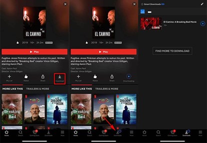 Download Netflix Videos in App