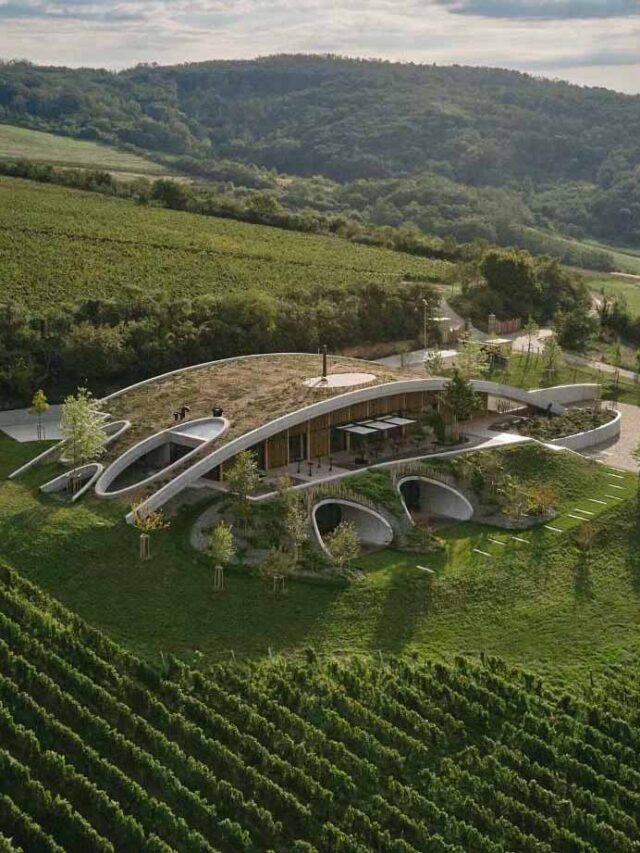 modern-winery-curved-green-roof
