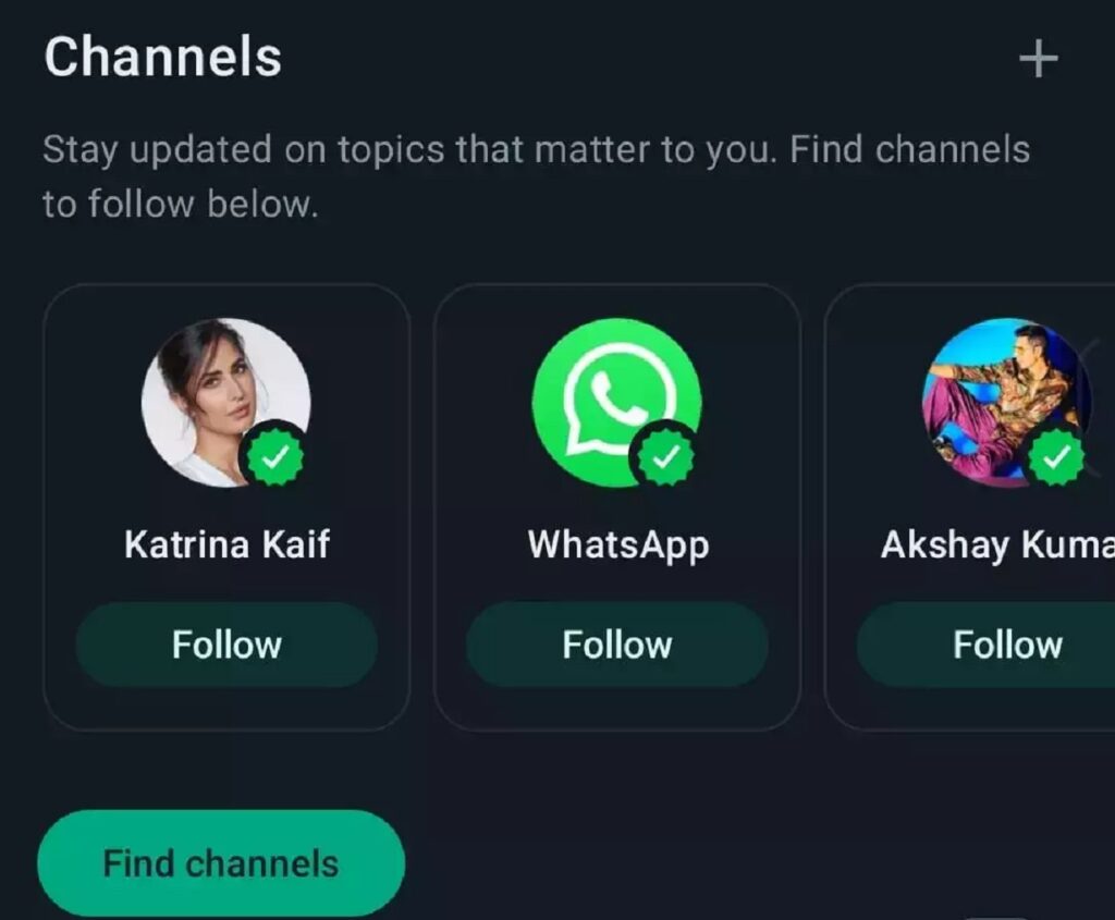 WhatsApp Channel Feature,